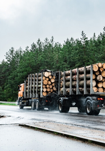 logging-truck-road-rainy-day